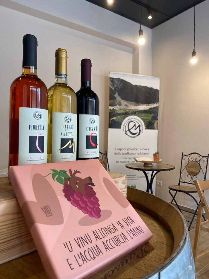 Degustazione vini Murace in cantina - immagine 2